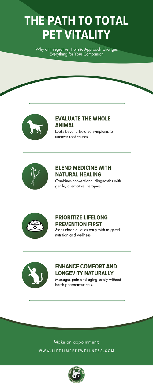 M325911 - Infographic - Why You Should Consider a Holistic Vet.png