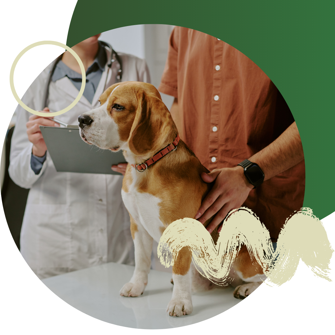 Integrative Medicine (update) - Image 4.png