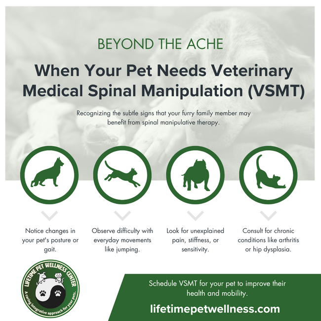 M325911 - Infographic - Beyond the Ache.png