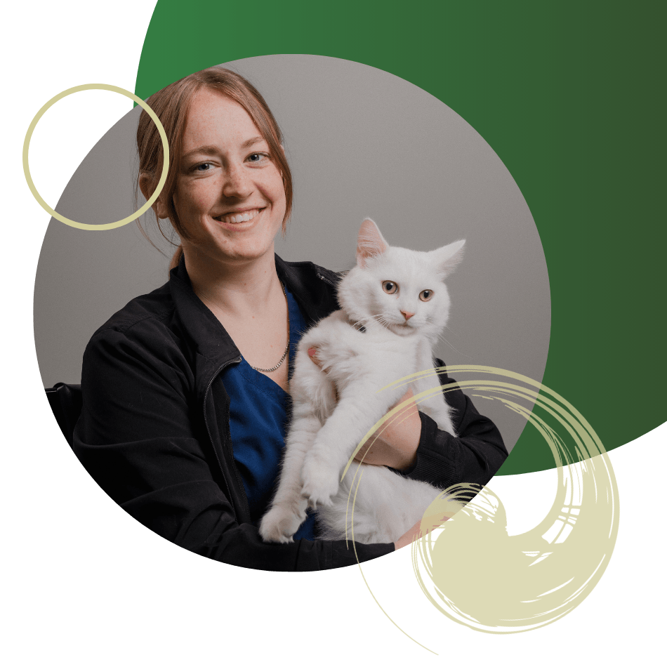 smiling vet holding cat