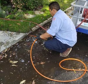 Clogged Drain in Torrance, CA Clogged Drain in Torrance, CA