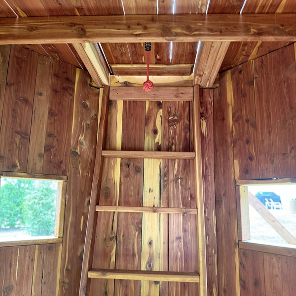 Inside a tree house