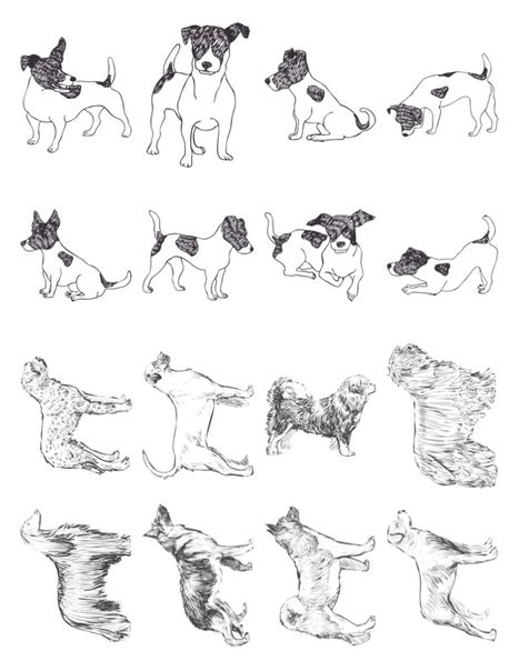 Pet Tattoos11.png.jpg