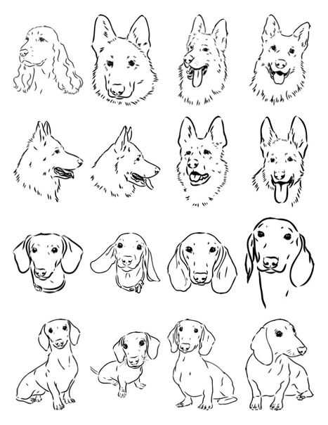 Pet Tattoos4.png.jpg