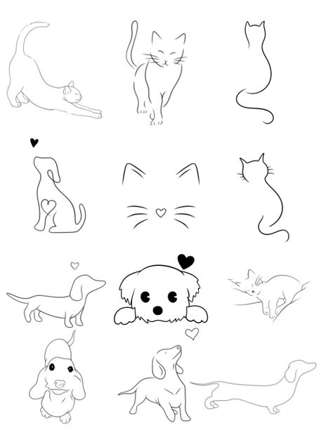 $25 Pets Page 16.jpg