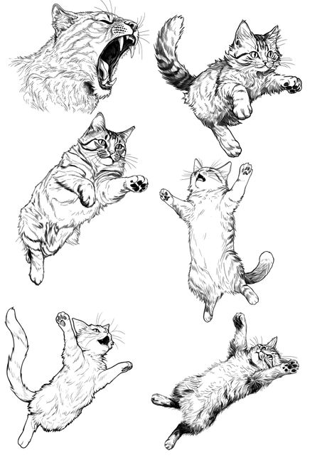 $150 Tattoos Page 19.jpg