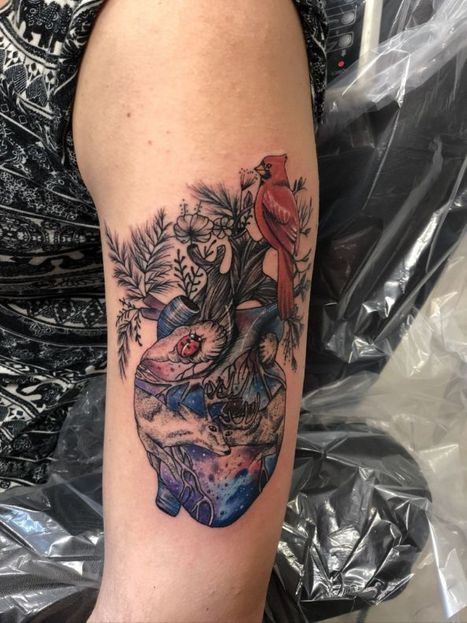 Anatomical Heart and Cardinal Tattoo | James | Twisted Tattoo 