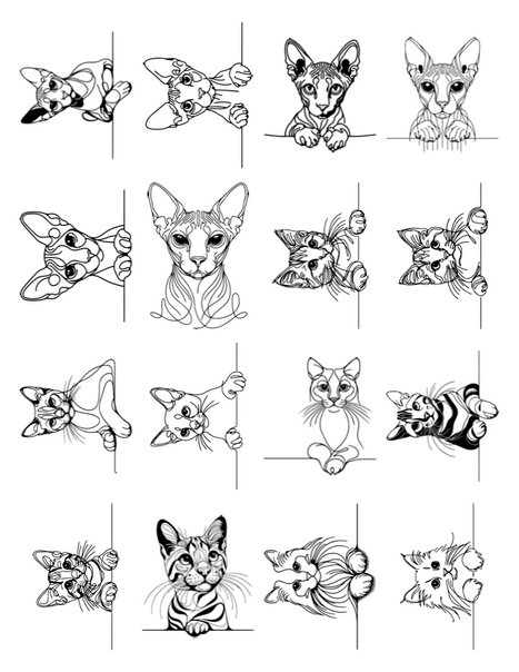 $50 Tattoos Page 12.png