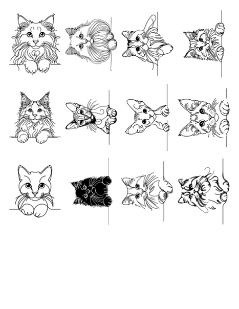 $50 Tattoos Page 13.png