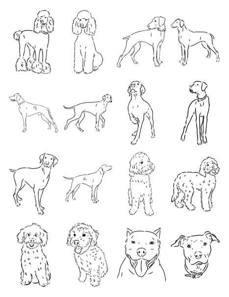 Pet Tattoos2.png.jpg
