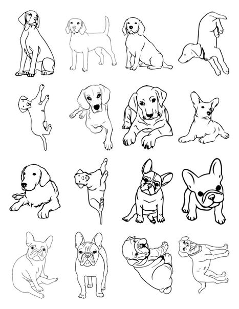 Pet Tattoos10.png.jpg