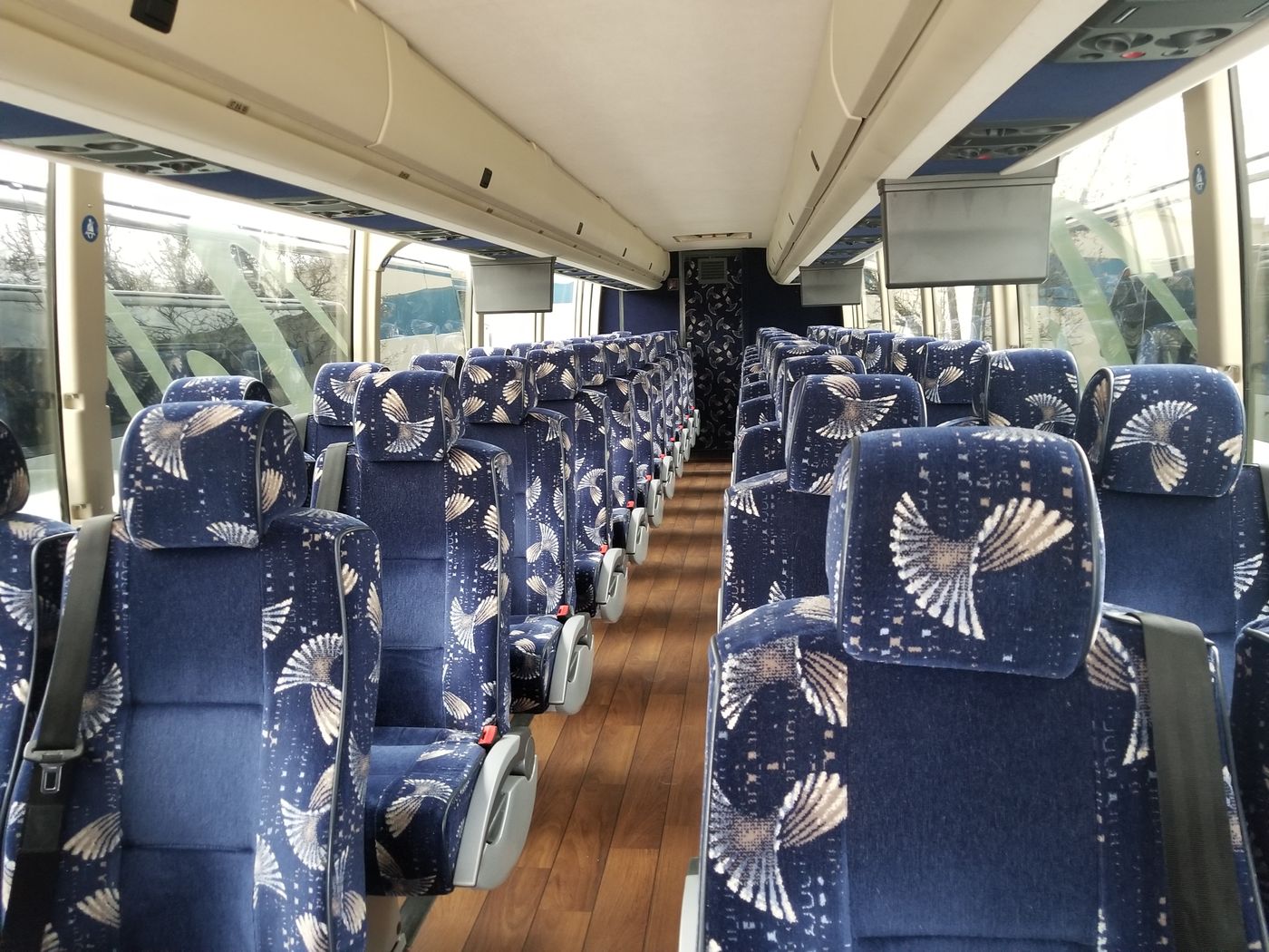 20190319_153806 - Copy - Copy.jpg