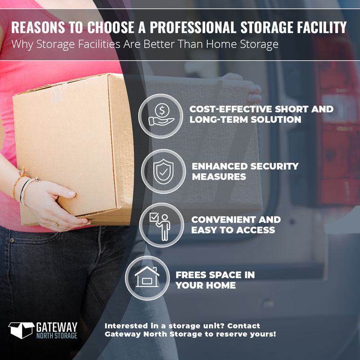 Infographic-Reasons-To-Choose-a-Professional-Storage-Facility.jpg