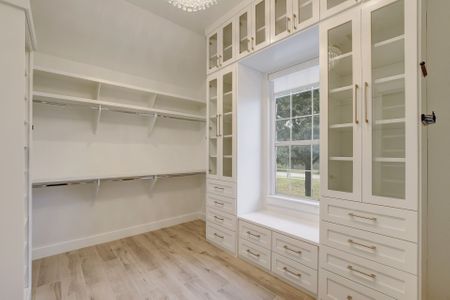 Closet with Built in at Right.jpg