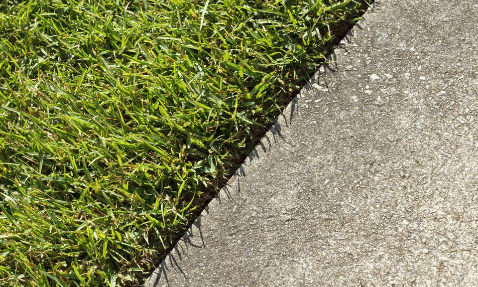 Image of a perfectly edged lawn